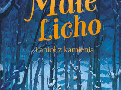 male-licho-i-aniol-z-kamienia-b-iext55322602